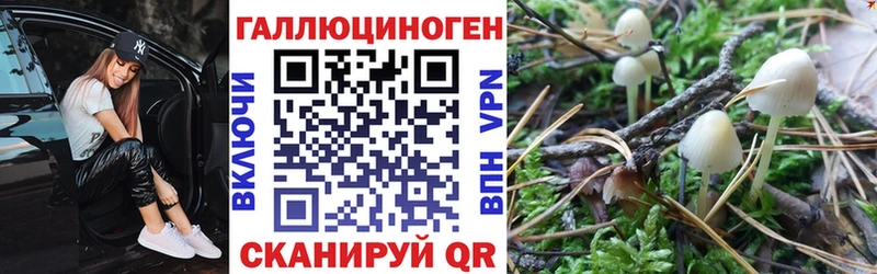 mega рабочий сайт  Черкесск  Галлюциногенные грибы мухоморы 